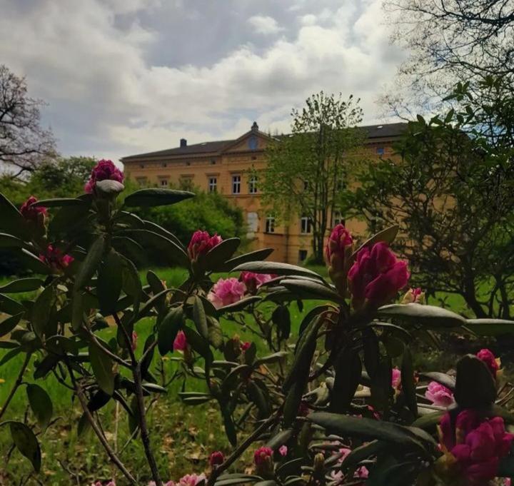 Schloss Tressow Bobitz Экстерьер фото